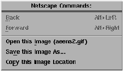 [Enregistrer une image avec Netscape 3]