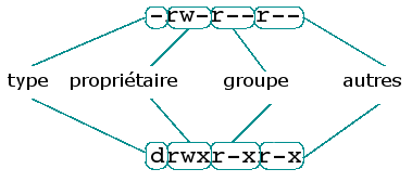 [Structure des permissions d'un fichier et d'un répertoire]